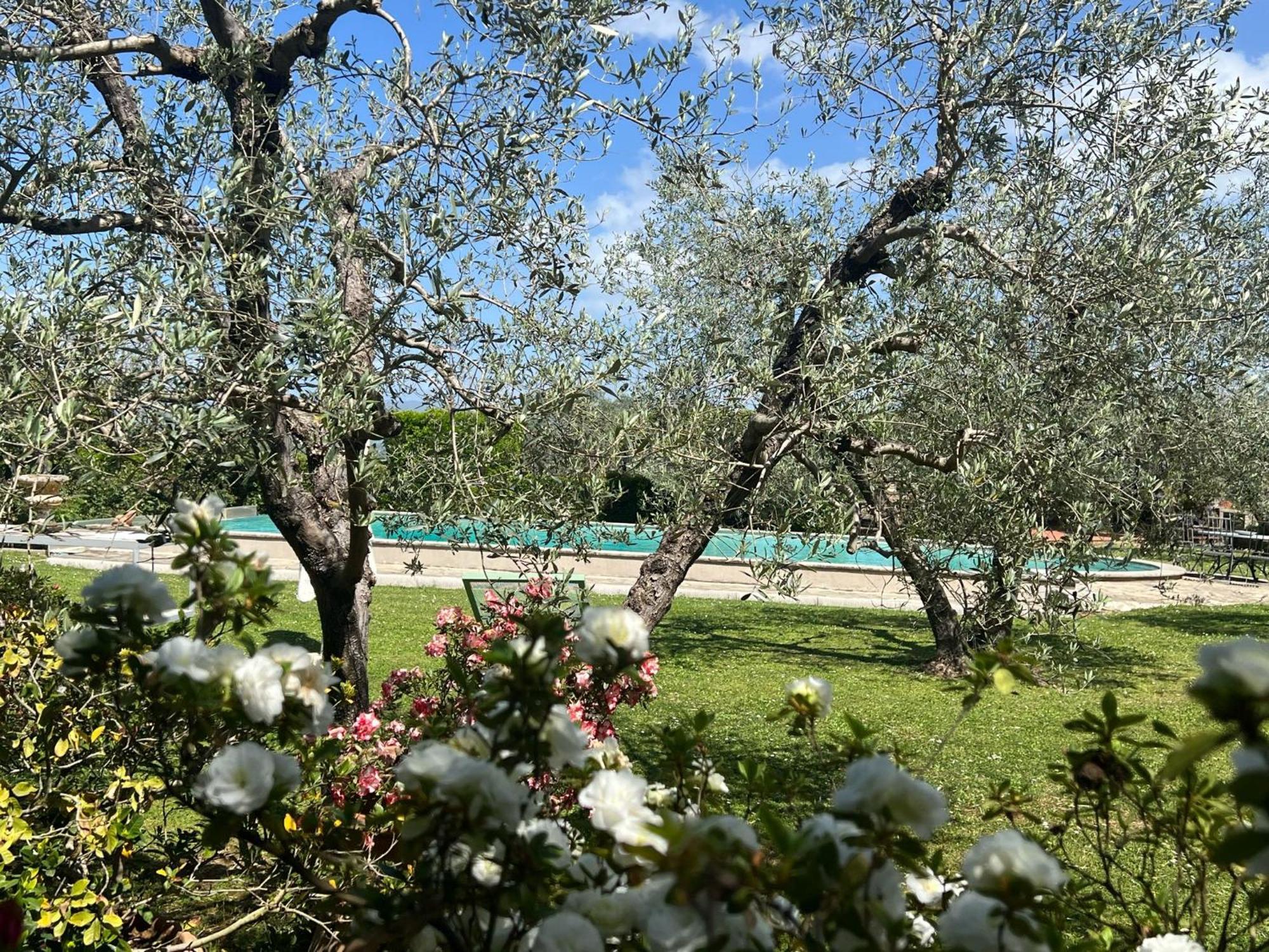 Villa Giotto Florence Pozzolatico Екстер'єр фото